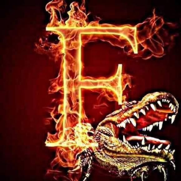 Meet your Posher, Rusty - Picture 1 of 1